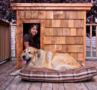 Jack and Sol - Alberta, Canada